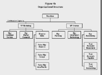 Image of a Tall Organizational Chart
