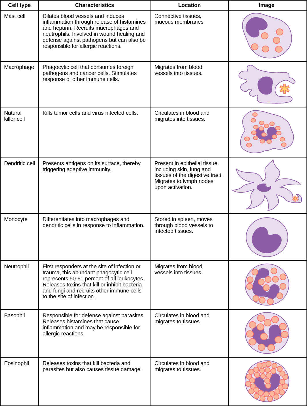 biology-animal-structure-and-function-the-immune-system-innate