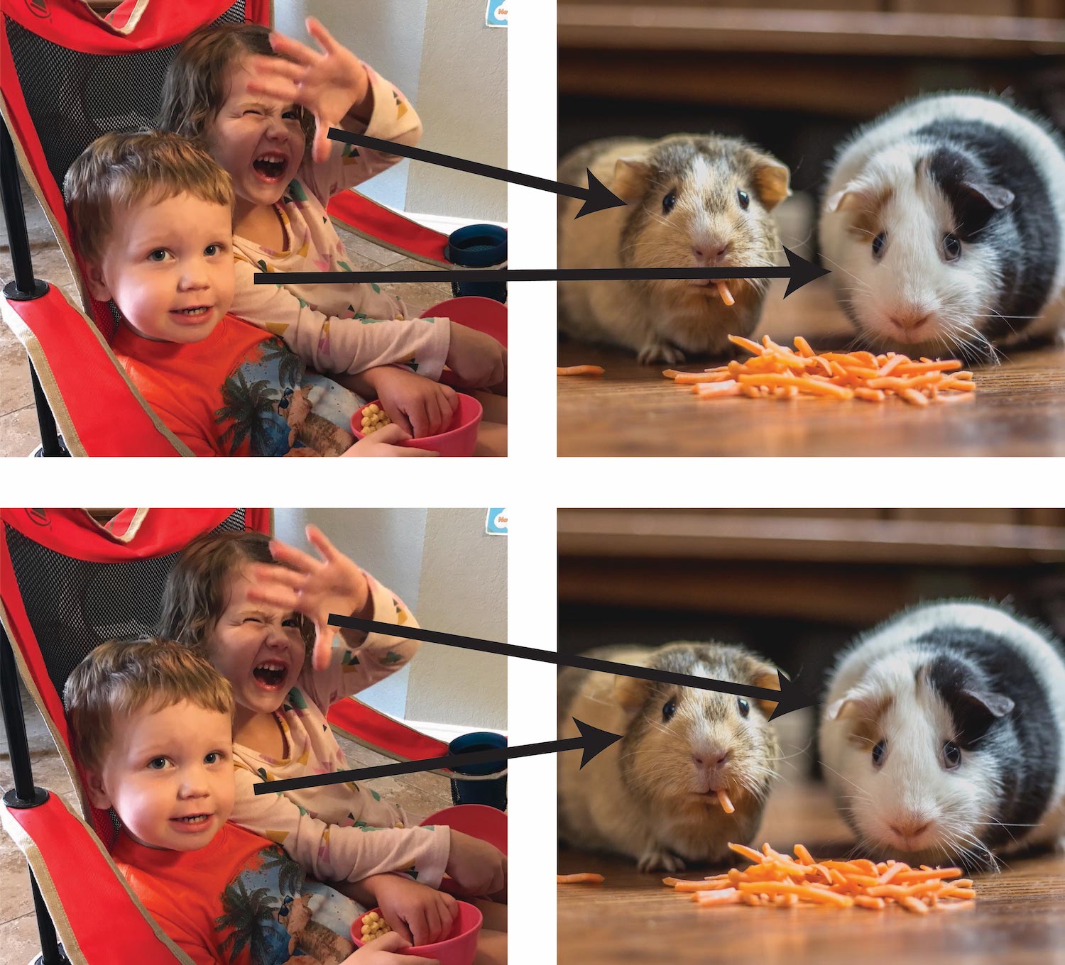 Top pair of images, left child paired with right guinea pig and right child paired with left guinea pig. Bottom pair of images, left child paired with left guinea pig and right child paired with right guinea pig.