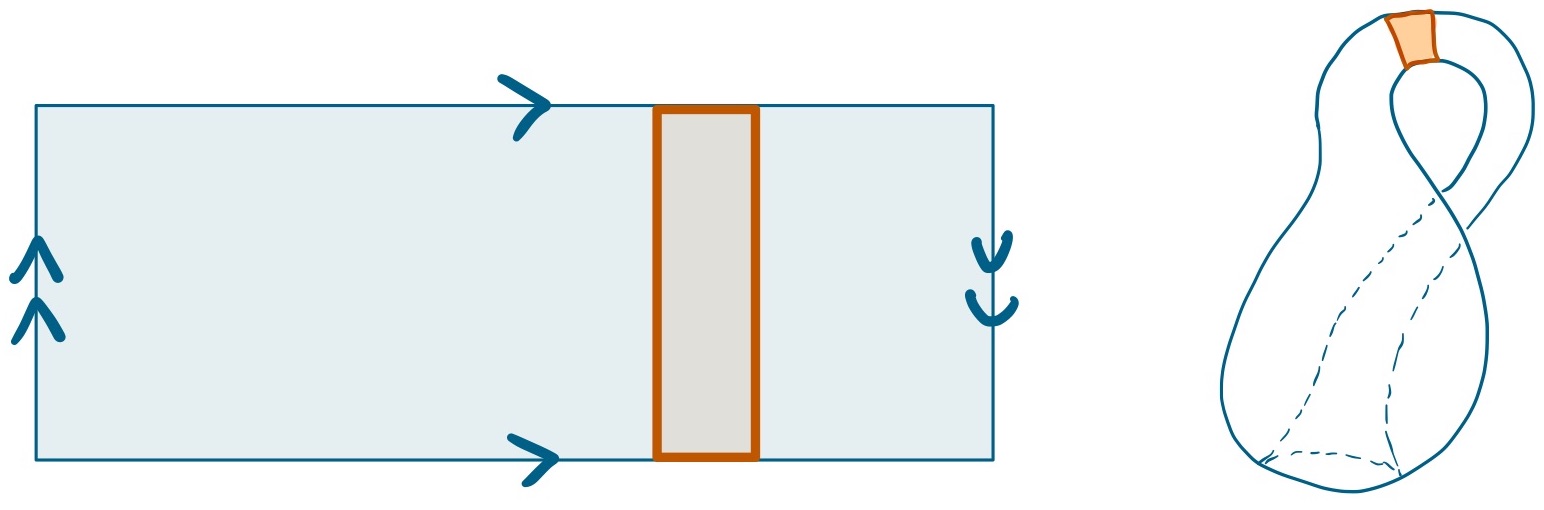 blue rectangle with up-pointing double arrow on left, down-pointing double arrow on right, and right pointing arrows on top and bottom. Vertical orange rectangle inside of the blue rectangle is highlighted. To the right, a diagram of a Klein bottle is shown with an orange annulus on its gooseneck highlighted