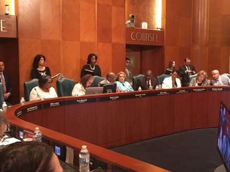 Picture of Houston city council meeting